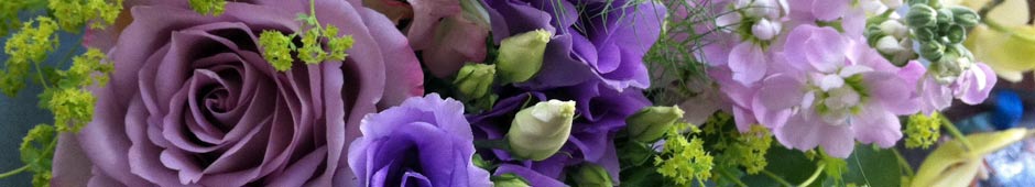 South Western Floral 